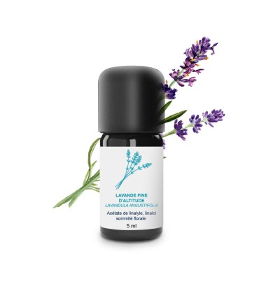 Essential Oil Fine altitude lavender