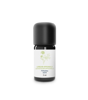 Essential Oil Livage (Root)