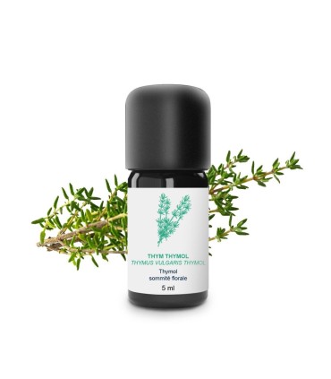 Essential Oil Thymol thyme from Lot