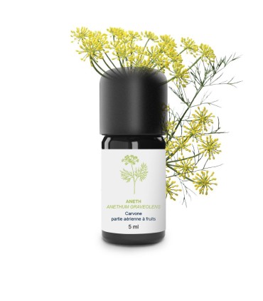 Essential Oil Dill from Burgundy