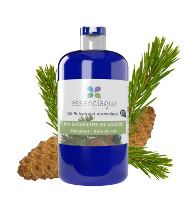 Organic and Handcrafted Scots Pine Hydrosol