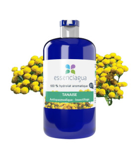 Hydrolat de Tanaisie bio & artisanal
