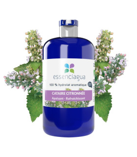 Hydrolat de Cataire citronnée