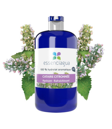 Idrolato di Nepeta cataria al limone