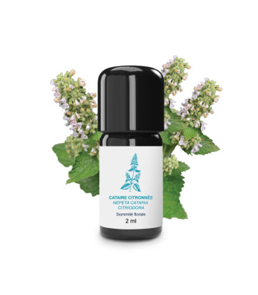 Lemon Balm Essential Oil