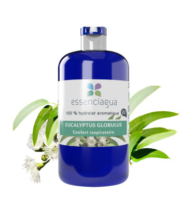Idrolato di Eucalyptus globulus bio & artigianale dell'Andalusia