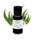 Organic Radiata Eucalyptus Essential Oil (Eucalyptus radiata)