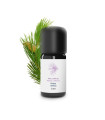 Olio Essenziale di Pino laricio 100% Bio e Artigianale