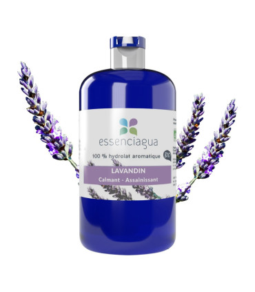 Lavendel Super Bio und handwerkliches Hydrolat