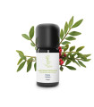 Essential Oil of Mastic Pistachio 100% Organic and Handmade