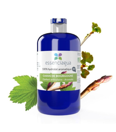 Idrolato di Ribes Nero bio e artigianale