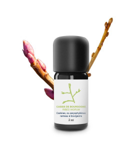 Huiles essentielles de Cassis bio et artisanale