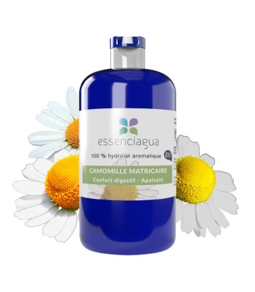 Hydrolat de Camomille Matricaire (allemande) bio et artisanal
