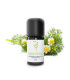Handcrafted Matricaria Chamomile Essential Oil