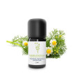 100% Organic and Handcrafted Matricaria Chamomile Essential Oil