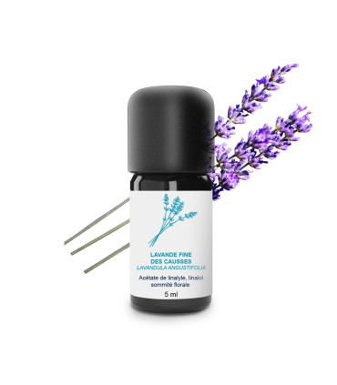 Olio essenziale di Lavanda Fine dei Causses biologico e artigianale