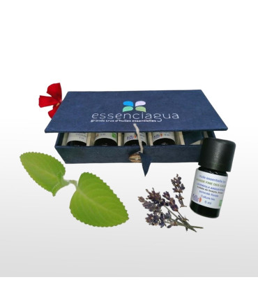 Coffret Voyage Aromatique bio & artisanal