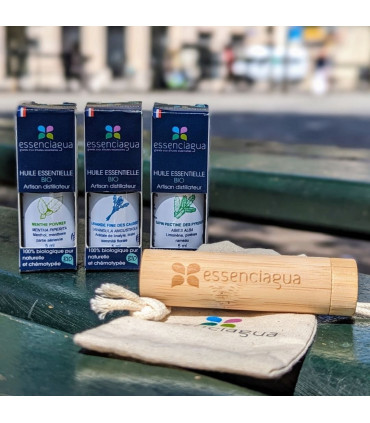 Bamboo Inhaler Set (Sold without essential oils)