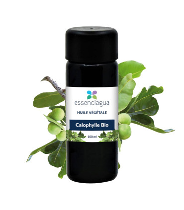 Olio vegetale di Calophyllum inophyllum