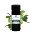 Olio vegetale di Calophyllum inophyllum