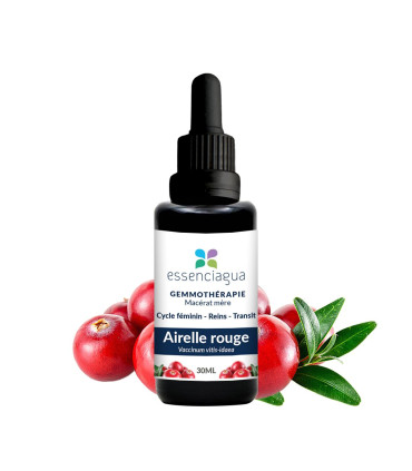 Macérat de bourgeons bio Airelle rouge 100% Bio et Artisanal