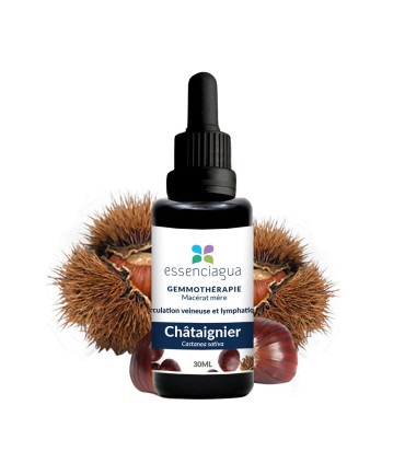 Bio-Mazerat von Kastanienknospen 100% Bio und Handwerklich