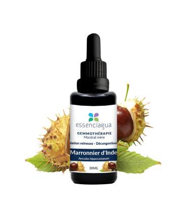 Mazerat aus Bio-Knospen der Indischen Kastanie 100% Bio und Handwerkli