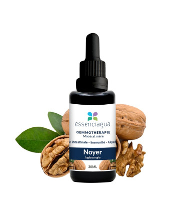 Macero di gemme bio Noce 100% Bio e Artigianale