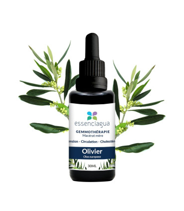 Macerado de brotes orgánicos de Olivo 100% Orgánico y Artesanal