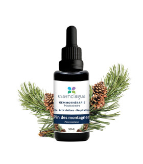 Macerado de brotes orgánicos de Pino de montaña 100% Orgánico y Artesa