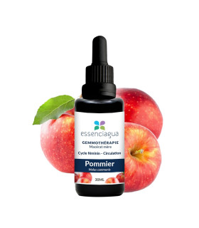 Macérat de bourgeons bio Pommier 100% Bio et Artisanal