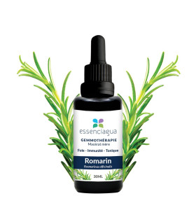 Macerado de brotes orgánicos de Romero 100% Orgánico y Artesanal