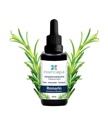 Organic Bud Macerate of Rosemary 100% Organic and Handcrafted