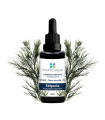 Bio-Mazerat aus Bio-Sequoia-Knospen 100% Bio und Handwerklich