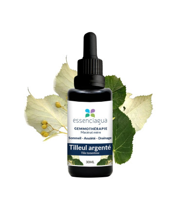 Macero di germogli bio Tiglio argentato 100% Bio e Artigianale