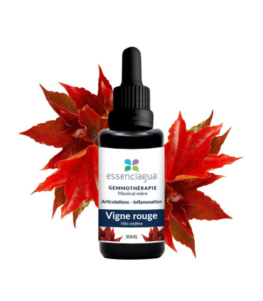 Bio Bud Macerate of Red Vine 100% Organic and Handmade