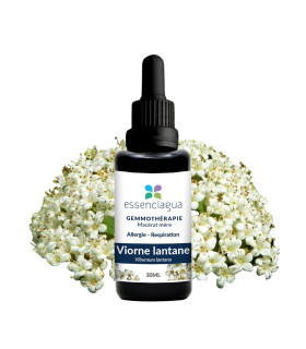 Macerado de brotes orgánicos de Viburnum lantana 100% Orgánico y Artes