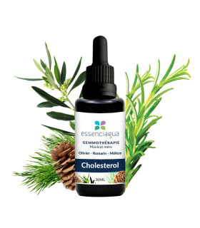 Complejo de brotes bio Colesterol 100% Bio y Artesanal