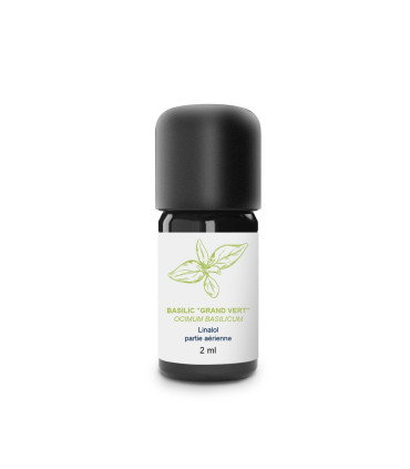 Artisanal Organic Basil Essential Oil with Linalool Big Green