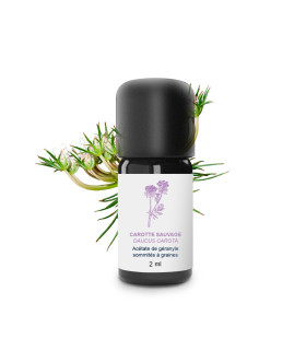 Huile essentielle de Carotte Sauvage bio et artisanale