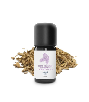 Biologisches und handwerkliches ätherisches Öl aus Atlas-Zeder