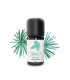 Organic & Handcrafted Atlas Cedar Essential Oil