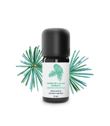 Organic & Handcrafted Atlas Cedar Essential Oil