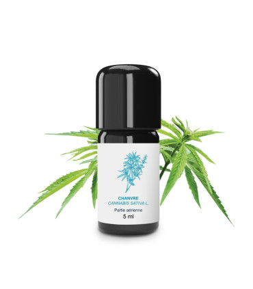 Biologisches & handwerkliches Hanf-Essentialöl