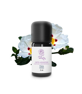 Huile essentielle de Ciste (Ciste Ladanifère) bio et artisanale