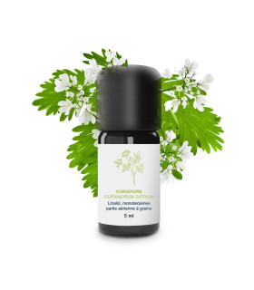 Aceite esencial de Cilantro (semillas) orgánico y artesanal