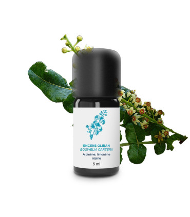 Aceite Esencial de Incienso Olibanum orgánico y artesanal