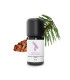 Organic and artisanal Sitka Spruce essential oil