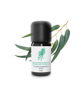 Aceite esencial de Eucalipto Globulus orgánico y artesanal