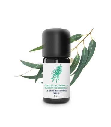 Olio essenziale di Eucalyptus Globulus bio e artigianale